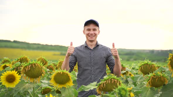 Happy Young Farmer Enjoying Sunflower Production