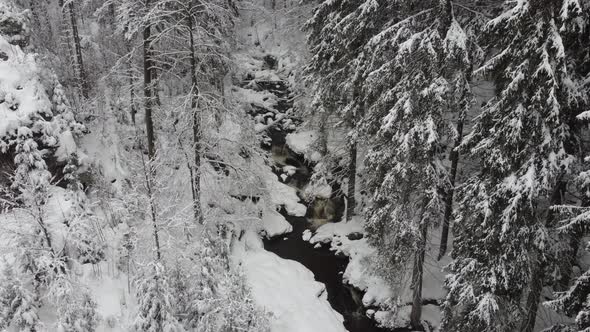 A stream flowing through the winter forest to the waterfall. Aerial view