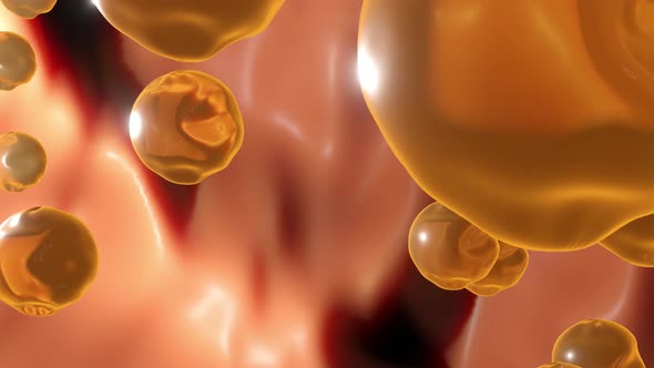 3D animation of cholesterin or fat cells flaoting in human body