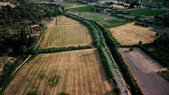 Drone Footage of Golden Fields During Sunset