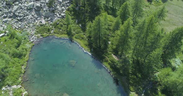 Orbit Around Overhead Clear Blue Lake and Pine Woods Forest in Sunny Summer Day