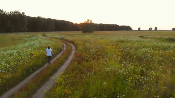 Girl walks with dog in the field