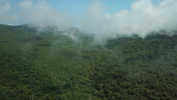 A Winding Road Through the Crimean Mountains Along the Sea