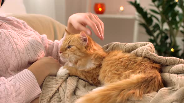 Woman Stroking Red Tabby Cat in Bed at Home