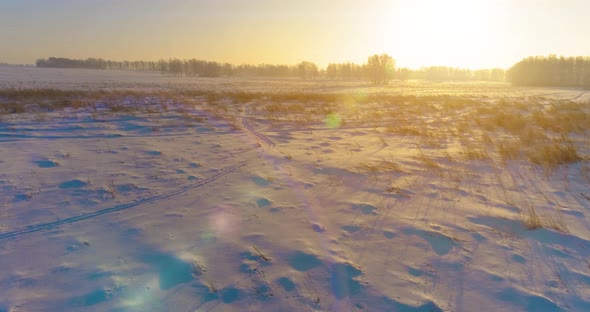 Aerial Drone View of Cold Winter Landscape with Arctic Field, Trees Covered with Frost Snow and