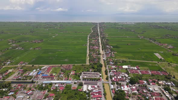 The Paddy Rice Fields of Kedah and Perlis, Malaysia