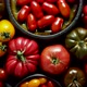 Various Kinds of Tomatoes Placed on Dark Rusty Table - VideoHive Item for Sale