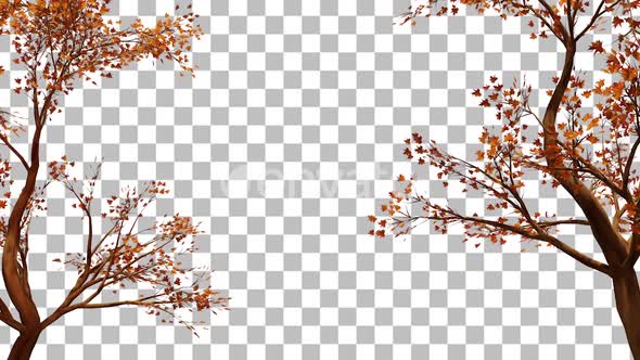 Leaf Double Tree Autumn Leaves 3D