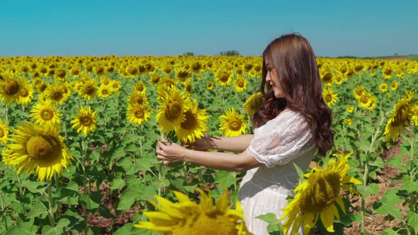 cheerful woman enjoying with sunflower field