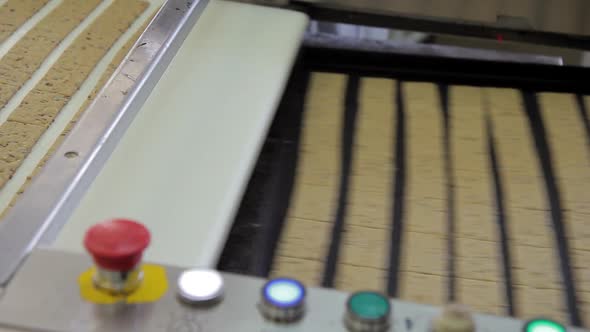 Sweet Biscuits Moves Along Conveyor Belt and Picked Up By Worker in Bakery