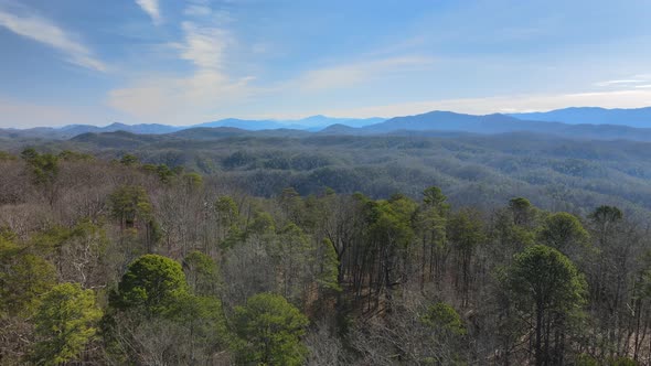 Forest & Mountains Fly Over