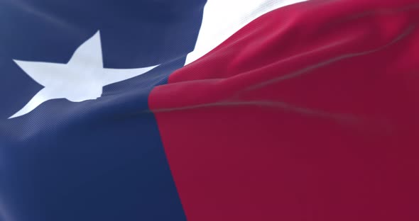 Flag of American State of Texas