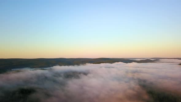 Aerial view of fog hanging over a large forest in the early morning