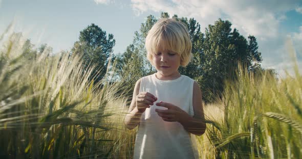 Carefree Child Boy on Countryside Walk on Agricultural Meadow Through Wheat