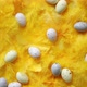Composition of Pastel Easter Eggs Lie Among of Yellow Feathers for Holidays - VideoHive Item for Sale