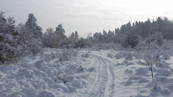 Morning after first  winter snowing 4K drone video