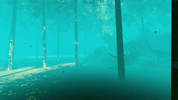 Jungle At Fog 4k