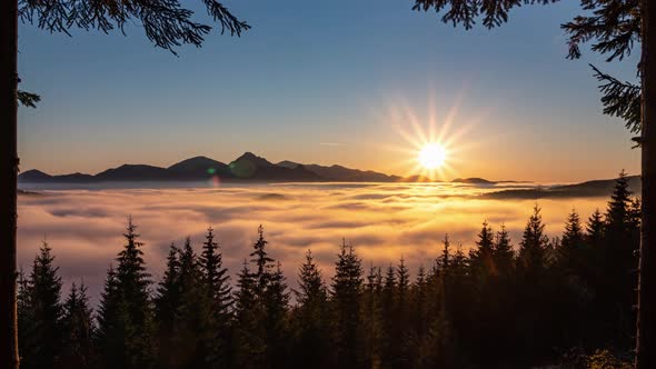 Sunset Mountains Forest