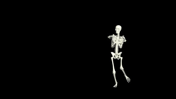 Skeleton Shopping Cart Dance