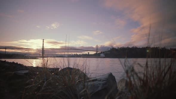 Sunrise over Lions gate bridge with grass in foreground