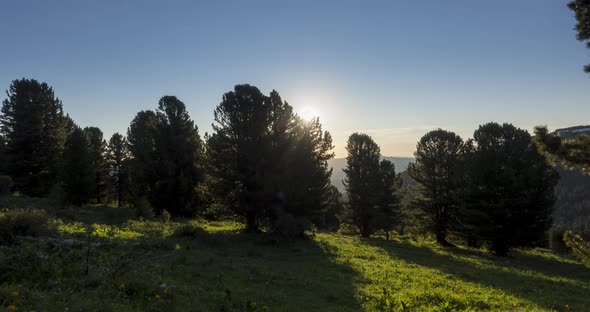 Mountain Meadow Timelapse. Wild Nature and Rural Field. Clouds, Trees, Green Grass and Sun Rays