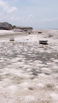 Tanzania  Vertical Video of Low Tide in the Ocean Near the Coast of Zanzibar Slow Motion