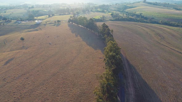 Rural landscape aerial view. Nature scenery