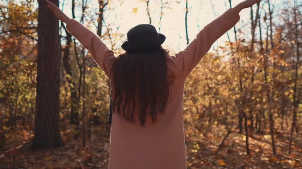 Happy Woman Is Admiring Nature of Autumn Park, Rising Hands Up, Back View