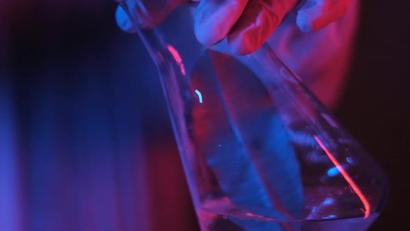 researcher pours white crystalline powder into clear chemical liquid in beaker.