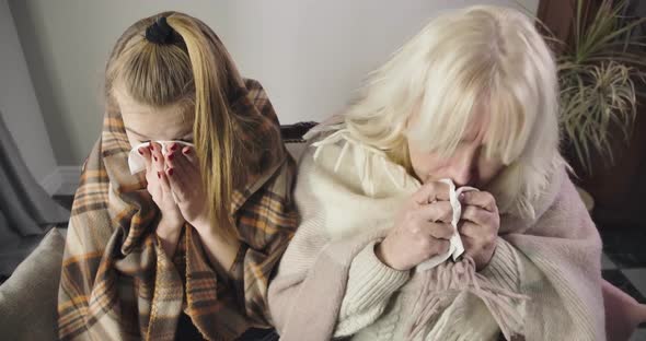 Portrait of Beautiful Old Lady and Young Girl Sitting on Couch Together and Sneezing. Ill