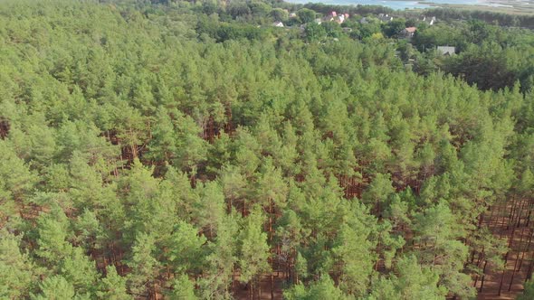 Forest Houses River