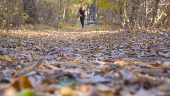 Young Athletic Man Runs Down Path in Autumnal Forest