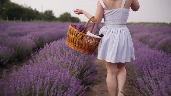 Rear View of a Woman in a White Dress and a Straw Hat Holding a Basket with a Bottle of Wine and