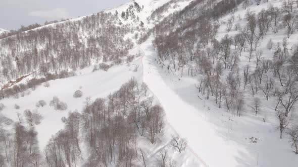 Aerial view of the ski resort with snowy mountain slopes and winter trees. 