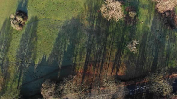 Single Carriageway Road, Grass Field, Drone Birds Eye View Looking Straight Down Sunny Winter Day