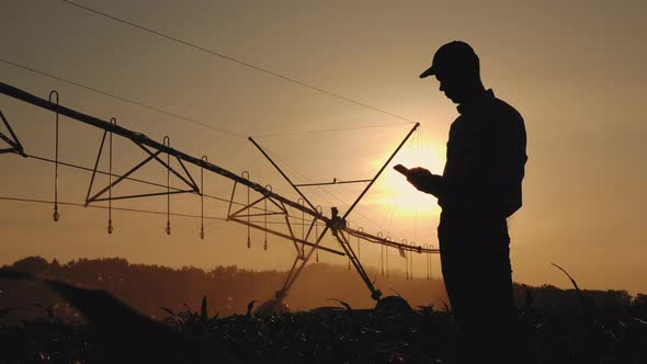 Silhouette of a Man Uses a Smartphone in the Field at Sunset
