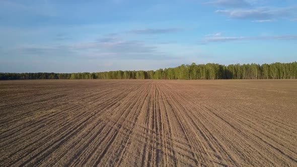 Camera Removes From Forest Above Field with Tractor Traces