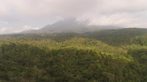 Tropical Landscape Rainforest and Mountains