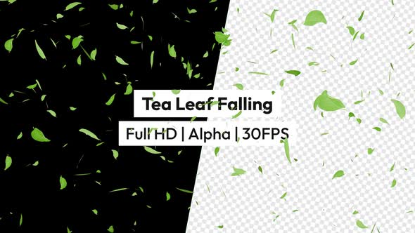 Green Leaf Rain Leaves Falling with Alpha