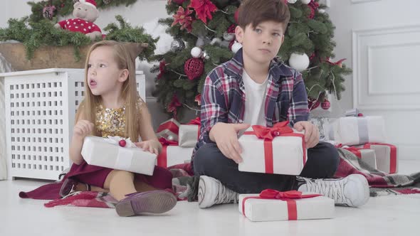 Portrait of Cute Caucasian Children Sitting Under the Christmas Tree with Gift Boxes and Looking