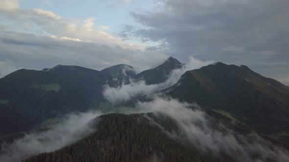 Dark Forest Mountains