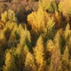 Flight on Beautiful Autumn City Park in Moscow Russia - VideoHive Item for Sale