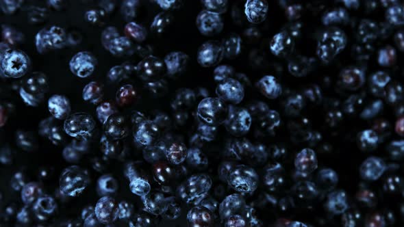 Super Slow Motion Shot of Blueberries Explosion Towards Camera at 1000Fps.