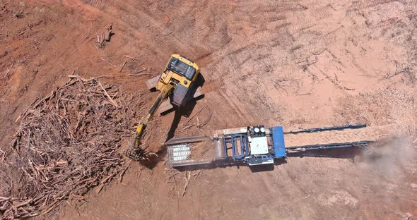 Industrial Shredder Machine an Work Conveyor the Roots Shredding From Producing Wood Chips