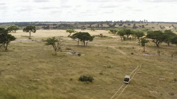 Aerial follows a Safari car in the Savannah of Zimbabwe.