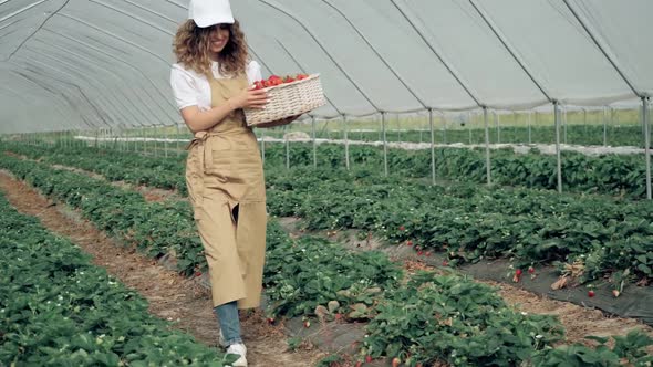 Smiling Female Farmer with Strawberries Walking at Greenhouse