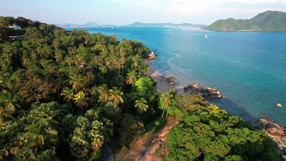 Aerial Shot Through a Palm Grove on the Seafront with a Rocky Beach with a Seaside Road in Phuket