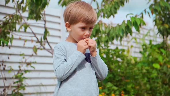 Child 4 Years Old Holding and Eating Raspberries in Backyard