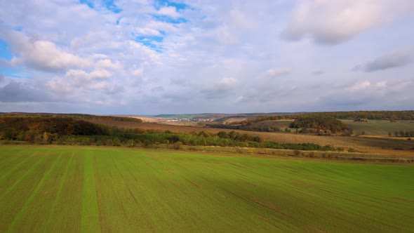 Aerial view of bright green agricultural field in early spring.