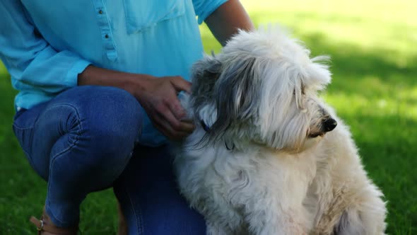 Woman playing with her dog in the park